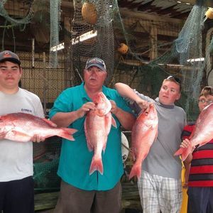 Meet your Posher, Bobby